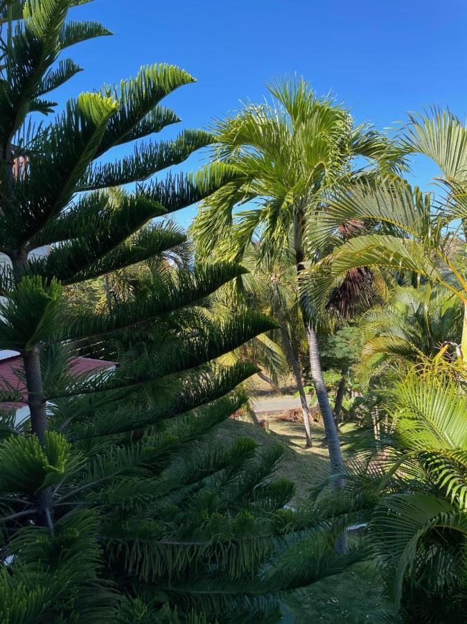 Jardin Sur Mer Terre-De-Haut ภายนอก รูปภาพ