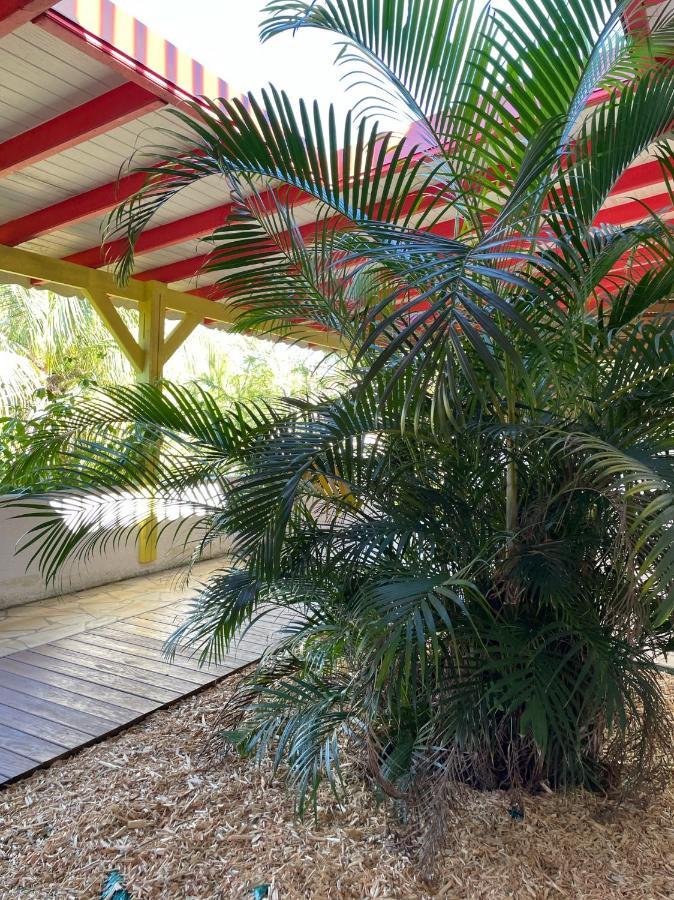 Jardin Sur Mer Terre-De-Haut ภายนอก รูปภาพ