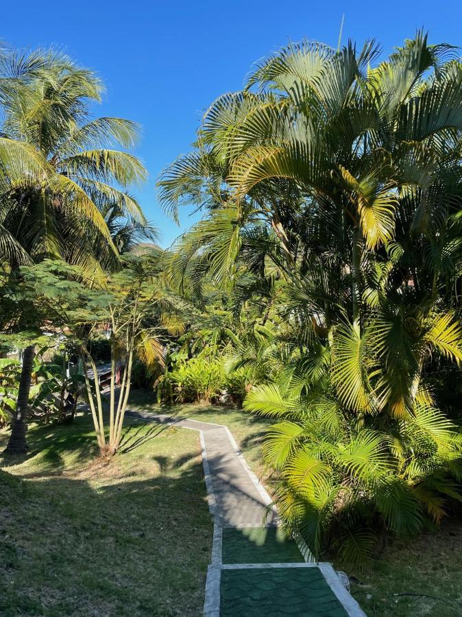 Jardin Sur Mer Terre-De-Haut ภายนอก รูปภาพ